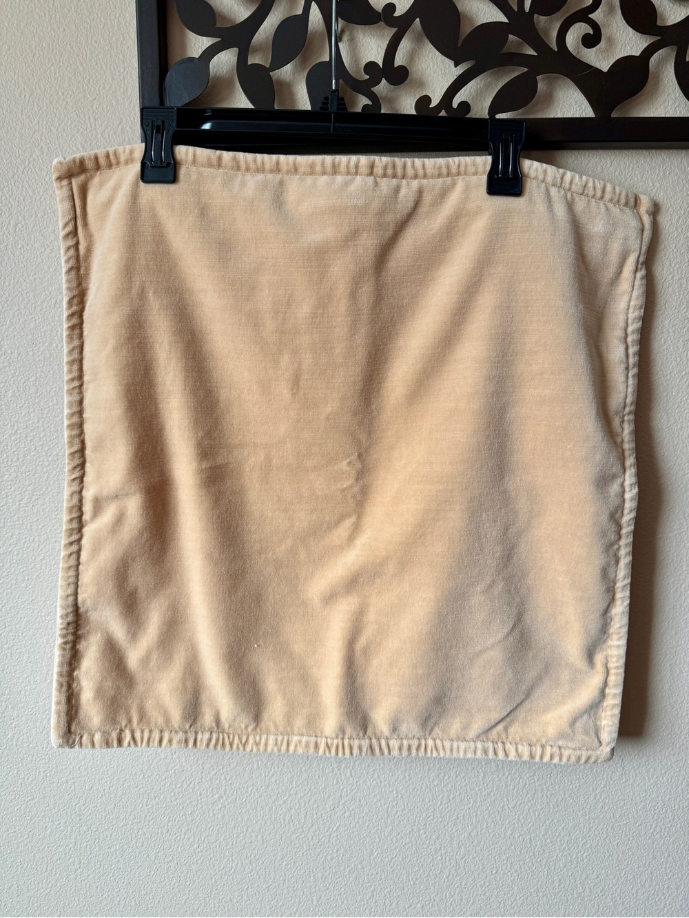 Pottery Barn Velvet Throw Pillow Cover in Light Beige